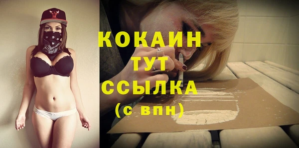 jwh Горняк