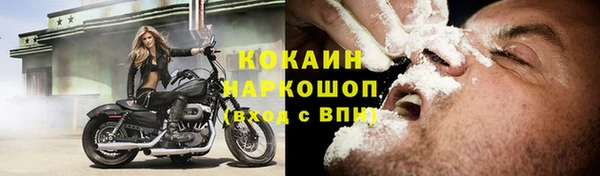 винт Горно-Алтайск