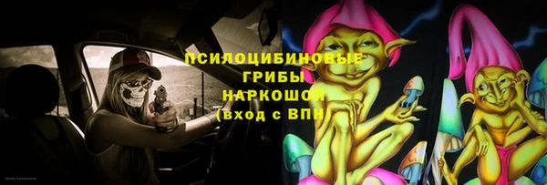 винт Горно-Алтайск