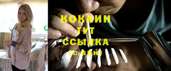 винт Горно-Алтайск