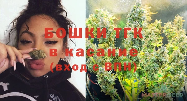 винт Горно-Алтайск