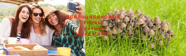 jwh Горняк