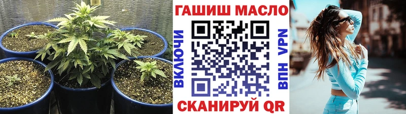 Купить закладки  Снежинск  ТГК концентрат 